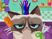 Angry Cat Hair Salon
