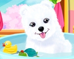 play Fluffy Puppy Care