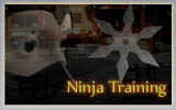 play Ninja Training