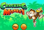 Cracking Monkey