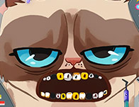 Grumpy Cat Dental Care