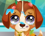 play Baby Pet Rescue