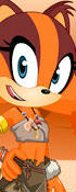 play Sonic Boom Sticks The Badger
