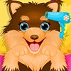 play Play Adopted Puppy Spa Makeover