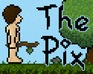 The Pix
