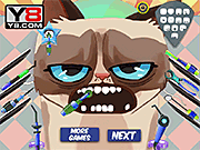 play Grumpy Cat Dental Care