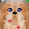 play Play Puppy Makeover