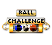 play Ball Challenge