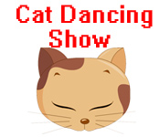 Cat Dancing Show