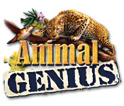 play Animal Genius