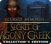 play Cursed Memories: The Secret Of Agony Creek Collector'S Edition