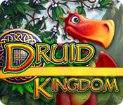 play Druid Kingdom