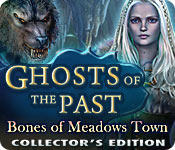 play Ghosts Of The Past: Bones Of Meadows Town Collector'S Edition