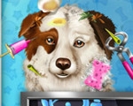 play Dog Pet Rescue