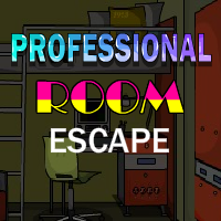play Yal Professional Room Escape