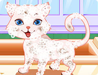 play Puppy And Kitty Salon