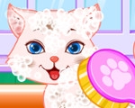 play Puppy And Kitty Salon