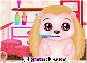 play Baby Hedgehog Salon