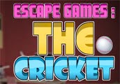 play Escape: The Cricket