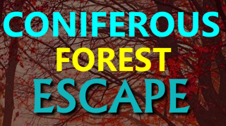 play Gamesnovel Coniferous Forest Escape