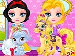 Baby Pets Beauty Pageant 2