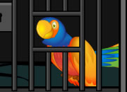 play Parrot Escape 2