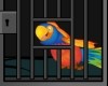 Parrot Escape 2