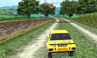 play Super Rally 3D