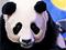 play Igt Slots: 100 Pandas
