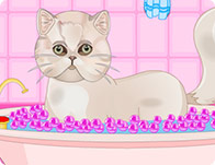 play Persian Cat Princess Spa Salon