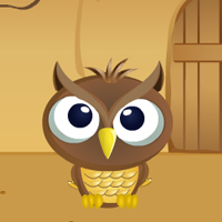 play Owl Forest Escape