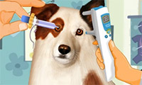 play Dog With A Blog: Eye Care