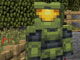 Minecraft Skincraft