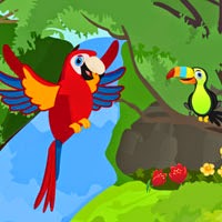 Wow Red Parrot Escape