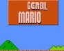 Gerbil Mario Demo