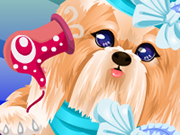 play Puppy Makeover Kissing