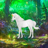 Wow Unicorn Forest Escape