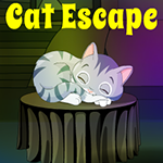 play G4K Cat Escape Game