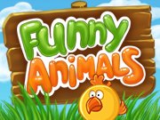 play Funny Animals