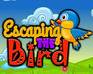 play Escaping The Bird
