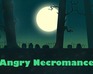 play Angry Necromancer