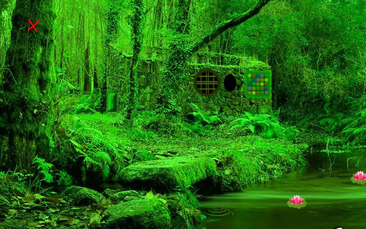 play 2Rule Nature Green Forest Escape