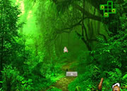 Nature Green Forest Escape