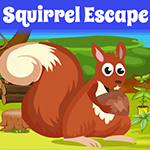 Squirrel Escape Game
