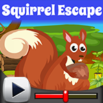 play Squirrel Escape Game Walkthrough