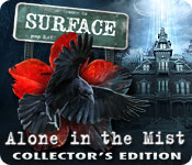 play Surface: Alone In The Mist Collector'S Edition