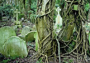 play Highgate Cemetery Escape