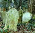 play Highgate Cemetery Escape