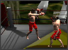 play Hyrule Boxing Challenger