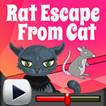 Rat Escape From Cat Game Walkthrough